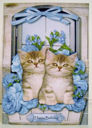 Cute Kittens in Window by Pam Stubley