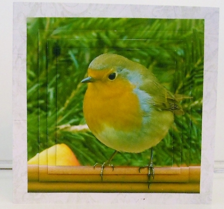Winter - Robin - Pyrimage/pyramid + Insert & Tag by Pam Stubley