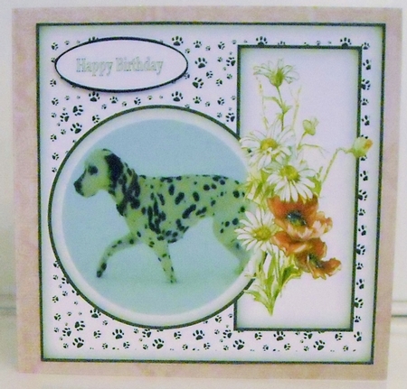 spotty dog,Dalmation by Pam Stubley