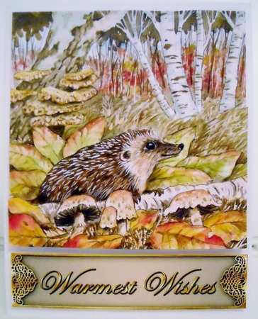 Trinitage - Hedgehog by Pam Stubley