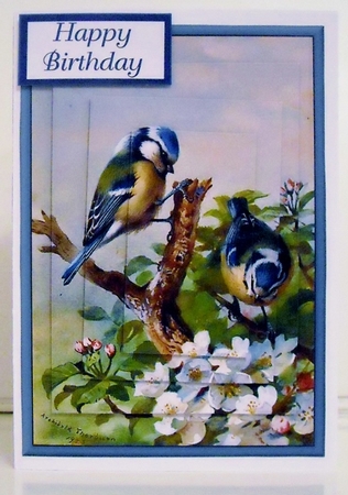 Blue Tits Pyramage by Pam Stubley