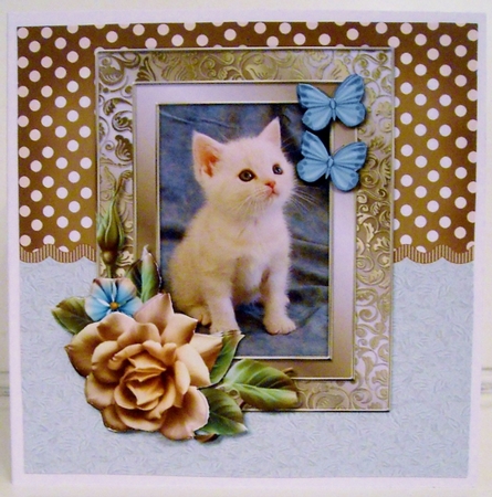 Cute Kitten & Roses by Pam Stubley