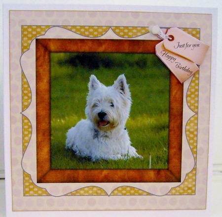 WESTIE by Pam Stubley