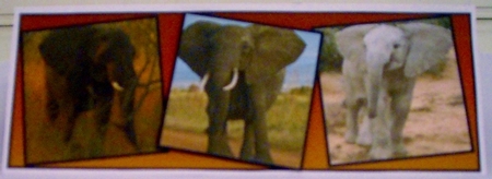 we three Elephants by Pam Stubley