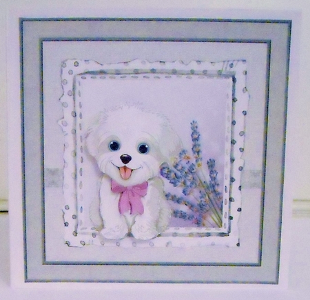 Daisy the puppy by Pam Stubley