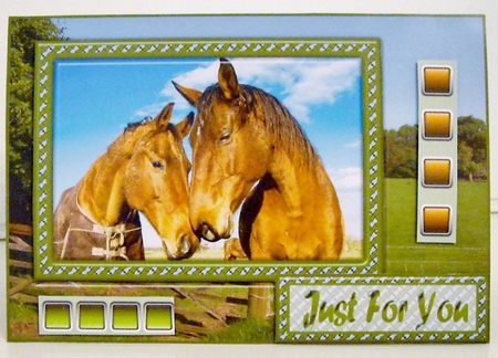 JJ FRIENDS FOREVER HORSES KIT by Pam Stubley