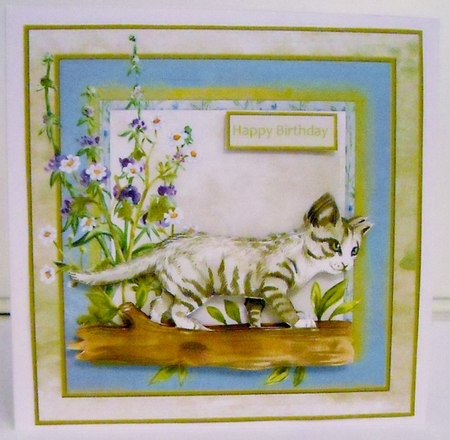 Kitten on watch by Pam Stubley