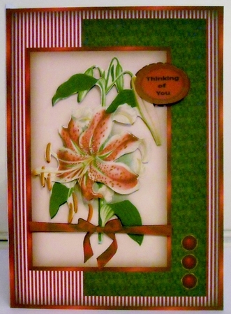Stargazer Lilies SBS by Pam Stubley