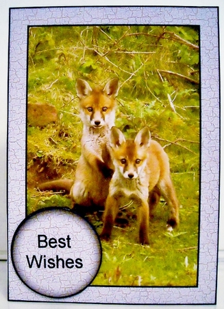 fox cubs by Pam Stubley