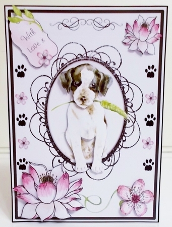 Black & White Puppy by Pam Stubley