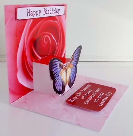 Butterfly and Rose by Pam Stubley