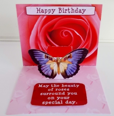 Butterfly and Rose by Pam Stubley