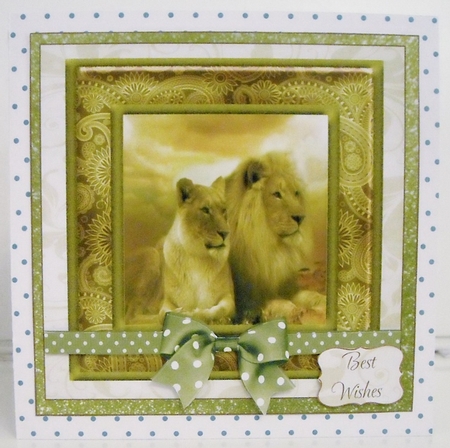 LIONS 1 GLITTER BACKED BIRTHDAY- BEST WISHES by Pam Stubley