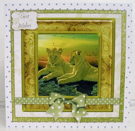 LIONS 2 GLITTER BACKED BIRTHDAY- BEST WISHES by Pam Stubley