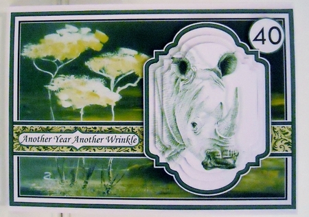 PORTRAIT OF A RHINO A5 Pyramage Ages & Insert Mini Kit by Pam Stubley