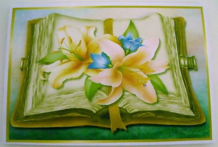 Classic Book Downton Lilies by Pam Stubley