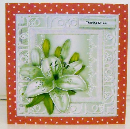 Silver Frame Sympathy Lilies by Pam Stubley