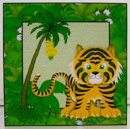 Tiger baby by Pam Stubley