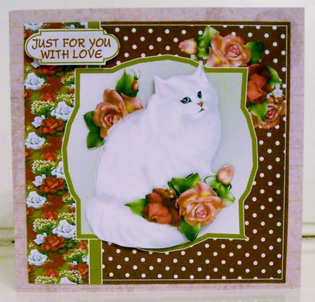 Fluffy White Cat With Roses by Pam Stubley