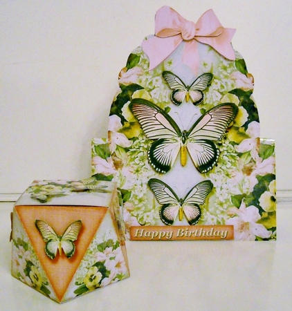 Over The Top Card and Facets Box Butterflies and Flowers 1268 by Pam Stubley