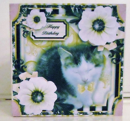 50 Winks by Pam Stubley