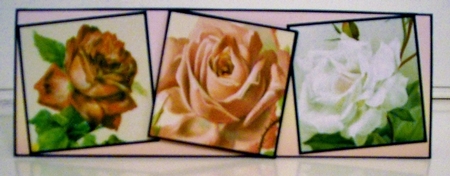 A rose for a rose by Pam Stubley