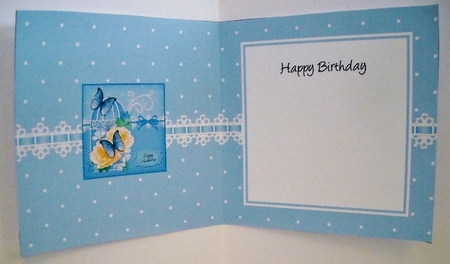 Birthday Butterflies, Flowers & Pearls Birdcage square landscape insert by Pam Stubley