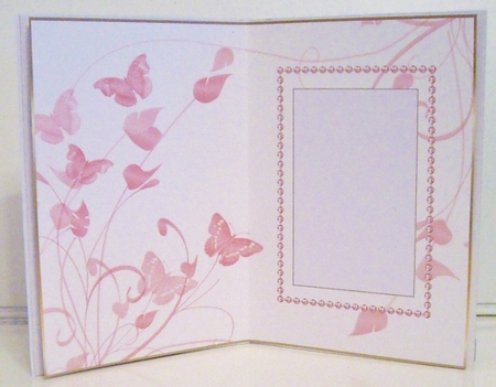 Peach Butterfly Insert  by Pam Stubley