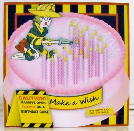 Call in the Professionals - Pink - Novelty card front by Pam Stubley