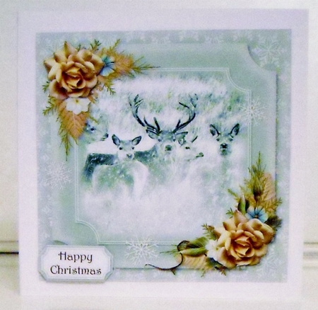 Deer Family by Pam Stubley