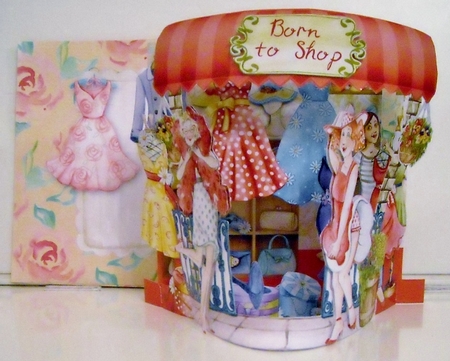 Chic Boutique 3D Flectere Card and Envelope Mini Kit by Pam Stubley