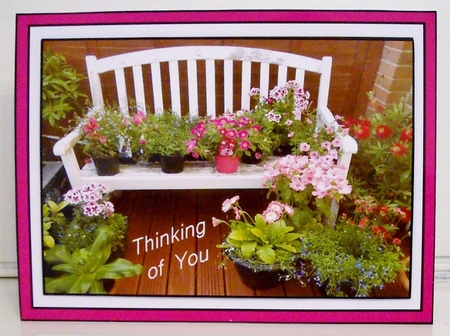 Garden of Eden by Pam Stubley