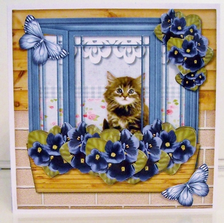 Cute Kitten In Window Mini Kit by Pam Stubley