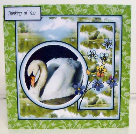 Swan Song by Pam Stubley