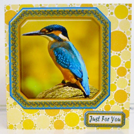JJ KINGFISHER 8X8 by Pam Stubley