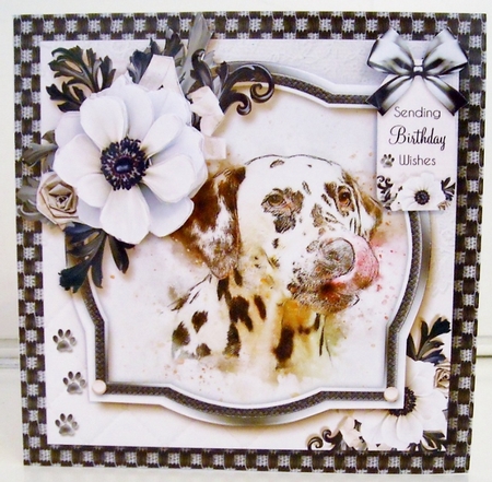 The Dalmatian by Pam Stubley