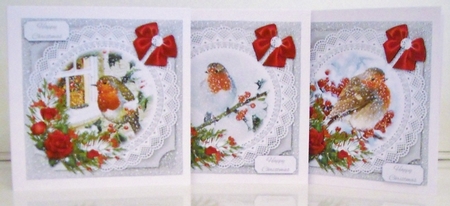 Robin Christmas Scene Toppers set of 10 + Insert by Pam Stubley