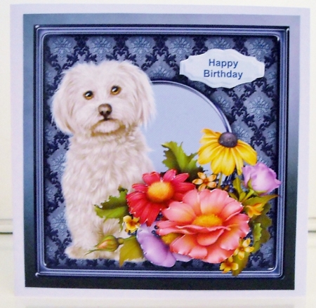Cute dog in the flowers by Pam Stubley