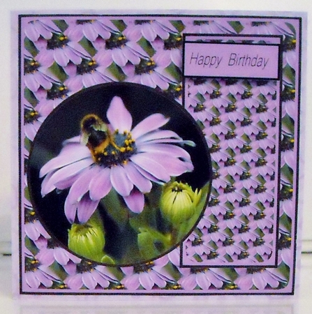 buzzing around by Pam Stubley