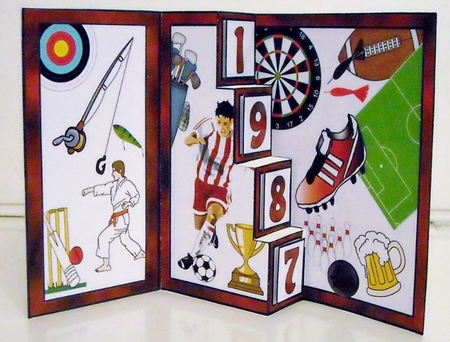 4 Step pop-up  Sport by Pam Stubley