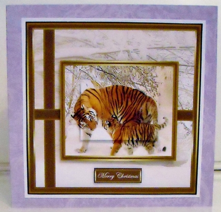Tigers in the snow by Pam Stubley