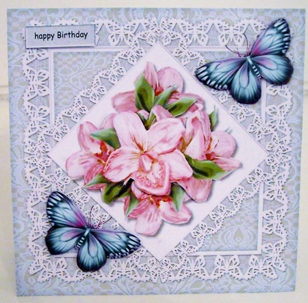 Orchids & Butterflies  by Pam Stubley