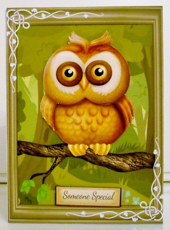 Gorgeous Brown Owl by Pam Stubley