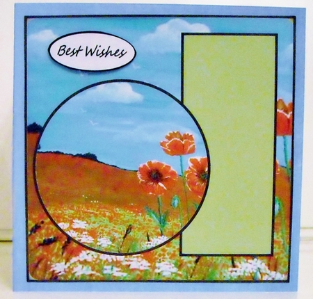 the poppy field by Pam Stubley
