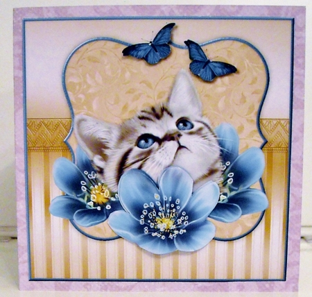 Adorable.... by Pam Stubley