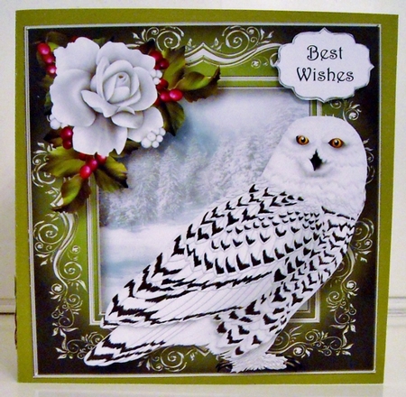 Snowy Owl 8x8 by Pam Stubley