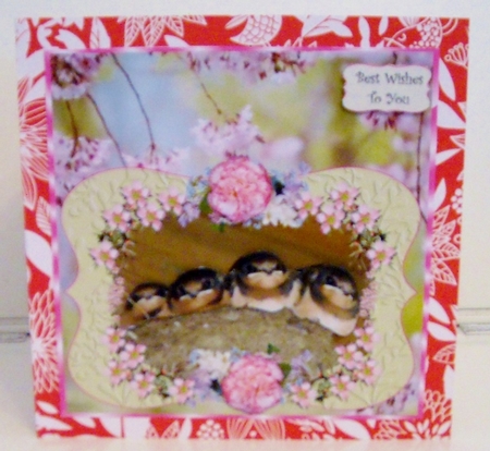 8X8 A LITTLE BIRD TOLD ME MULTIPLE SENTIMENTS by Pam Stubley