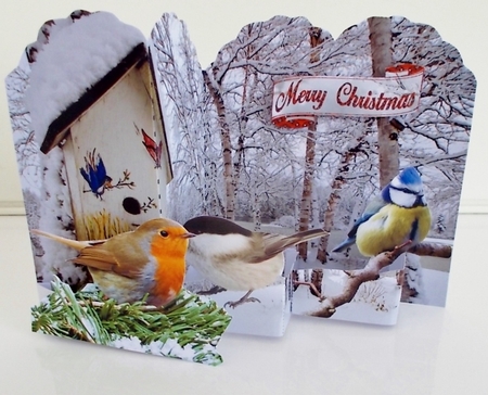 Robin & Friends Foldover Card by Pam Stubley