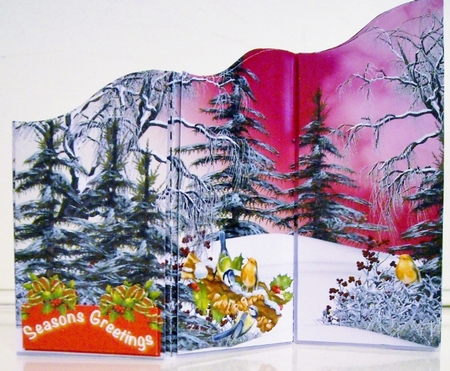 Winter Snow by Pam Stubley
