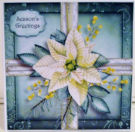 White Poinsettia Christmas Present 8x8 by Pam Stubley